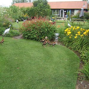 View towards entrance building