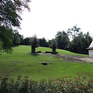 Paddock of Kobus ellipsiprumnus defassa and Tragelaphus speki