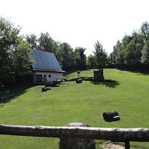 Paddock of Boselaphus tragocamelus