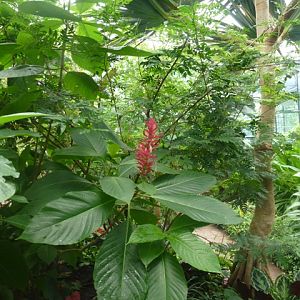 Butterfly Pavilion 23.6.13