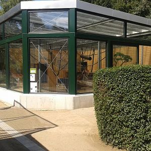 Chimpanzee-enclosure