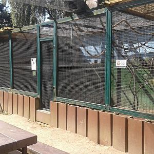 Outdoor-enclosures small monkeys and squirrels