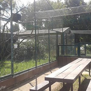 More outdoor monkey-enclosures