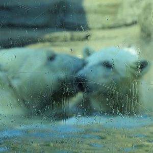 motherly love (crystal & sakari)