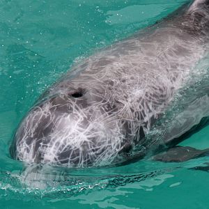 2013: Long Island Aquarium