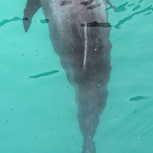 2013: Long Island Aquarium