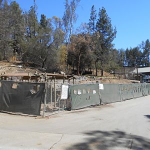 Rainforest of the Americas construction August 23 2013