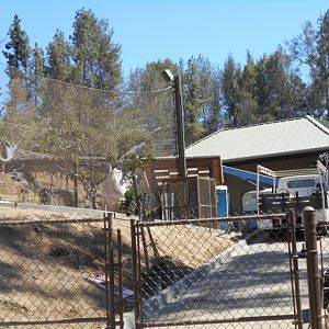 Rainforest of the Americas construction August 23 2013