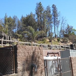 Rainforest of the Americas construction August 23 2013