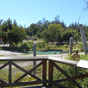 Elephants of Asia August 2013