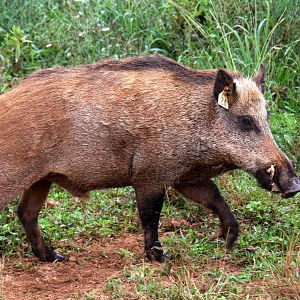 2013: Shadow Nursery