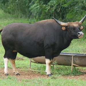 2013: Shadow Nursery