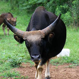 2013: Shadow Nursery