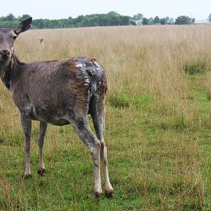 2013: Shadow Nursery