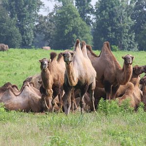 2013: Shadow Nursery
