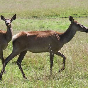2013: Shadow Nursery