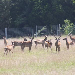 2013: Shadow Nursery