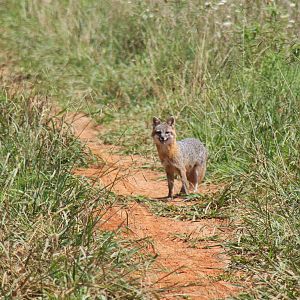 2013: Shadow Nursery