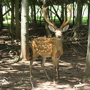 2013: Shadow Nursery