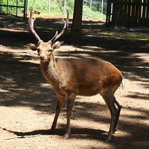 2013: Shadow Nursery