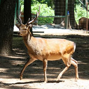 2013: Shadow Nursery