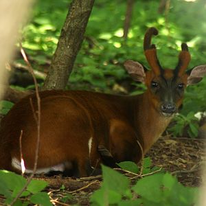 2013: Shadow Nursery