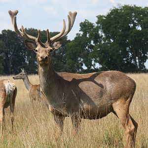 2013: Shadow Nursery