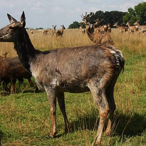 2013: Shadow Nursery