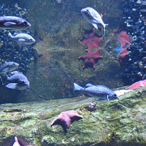 Long Beach Breakwater Display