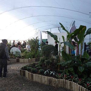 'Sensational butterflies' exhibit, April 2013.