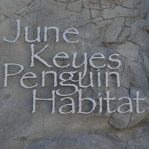 June Keyes Penguin Habitat Signage