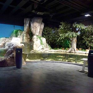 Black Sea tanks, June 2013.