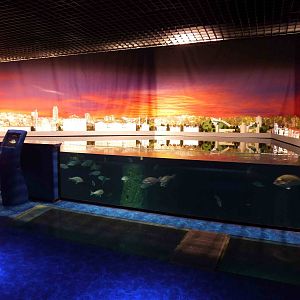 Bosphorus tank, June 2013.