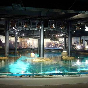 Marmara tank, June 2013.