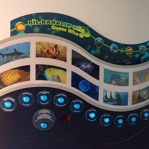 Quiz board, June 2013.