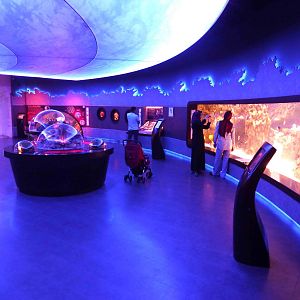 Red Sea hall, June 2013.