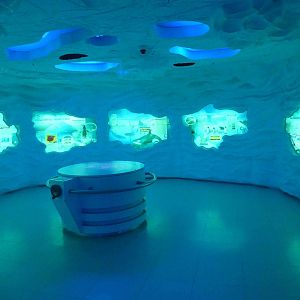 Antarctica exhibit, June 2013.