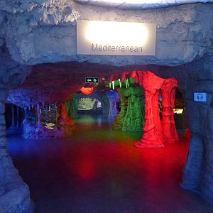 Mediterranean, June 2013.