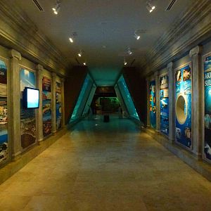 Strait of Gibraltar, June 2013.