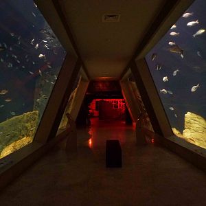 Bosphorus tanks underwater, June 2013.