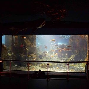 Atlantic Ocean, June 2013.