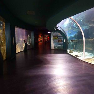 Atlantic - with the Panama canal, June 2013.