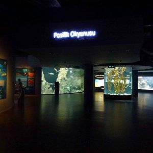 Pacific ocean, June 2013.