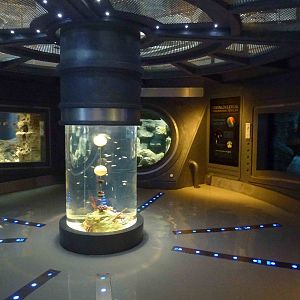 Nautilus hall, June 2013.