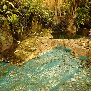 Empty capybara enclosure, June 2013.
