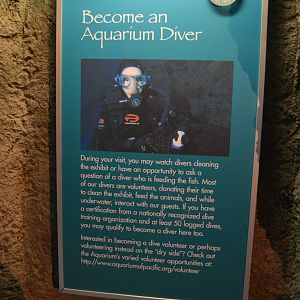 Volunteer Divers Recruitment