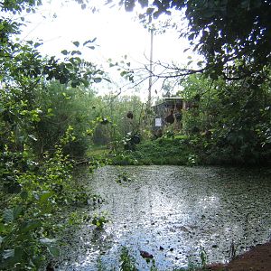 View inside Tasavo Aviary