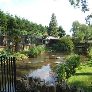 View towards Toucan House