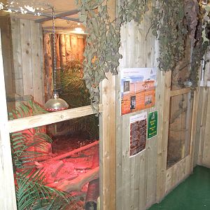 Indoor Meerkat Enclosure