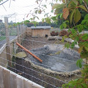 Capybara Enclosure